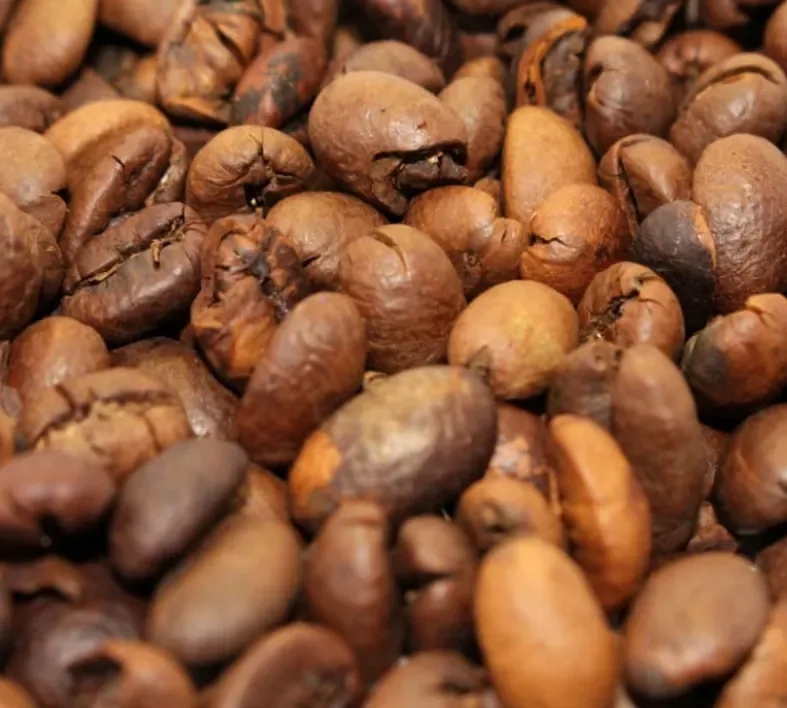 liberica roasted coffee - indonesia + sumatra coffee by pt. indonesia specialty coffee