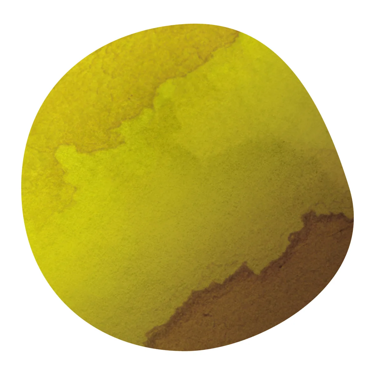 【new】juan quilla -red bourbon- / peru coffee by aoma coffee