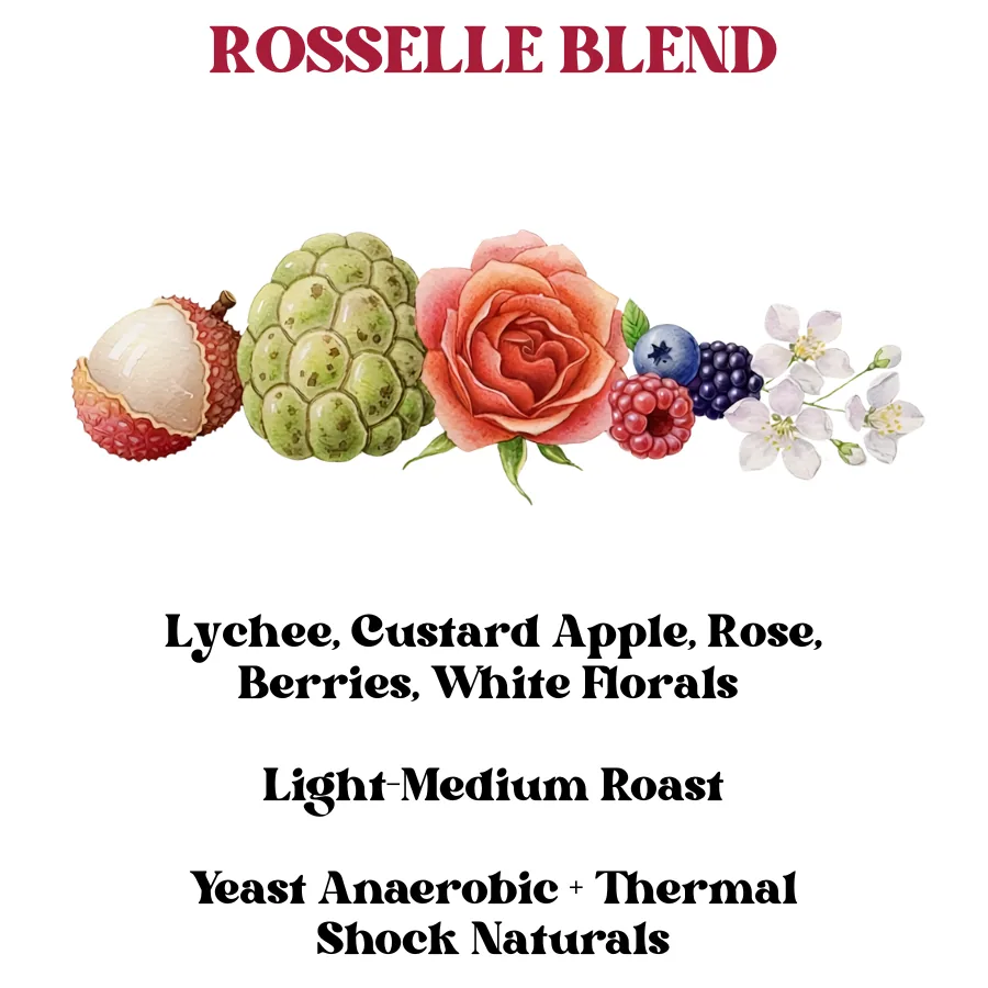 rosselle blend (sca 88+) coffee by rossette coffee lab - premium specialty coffee roasters & wholesalers in delhi, india