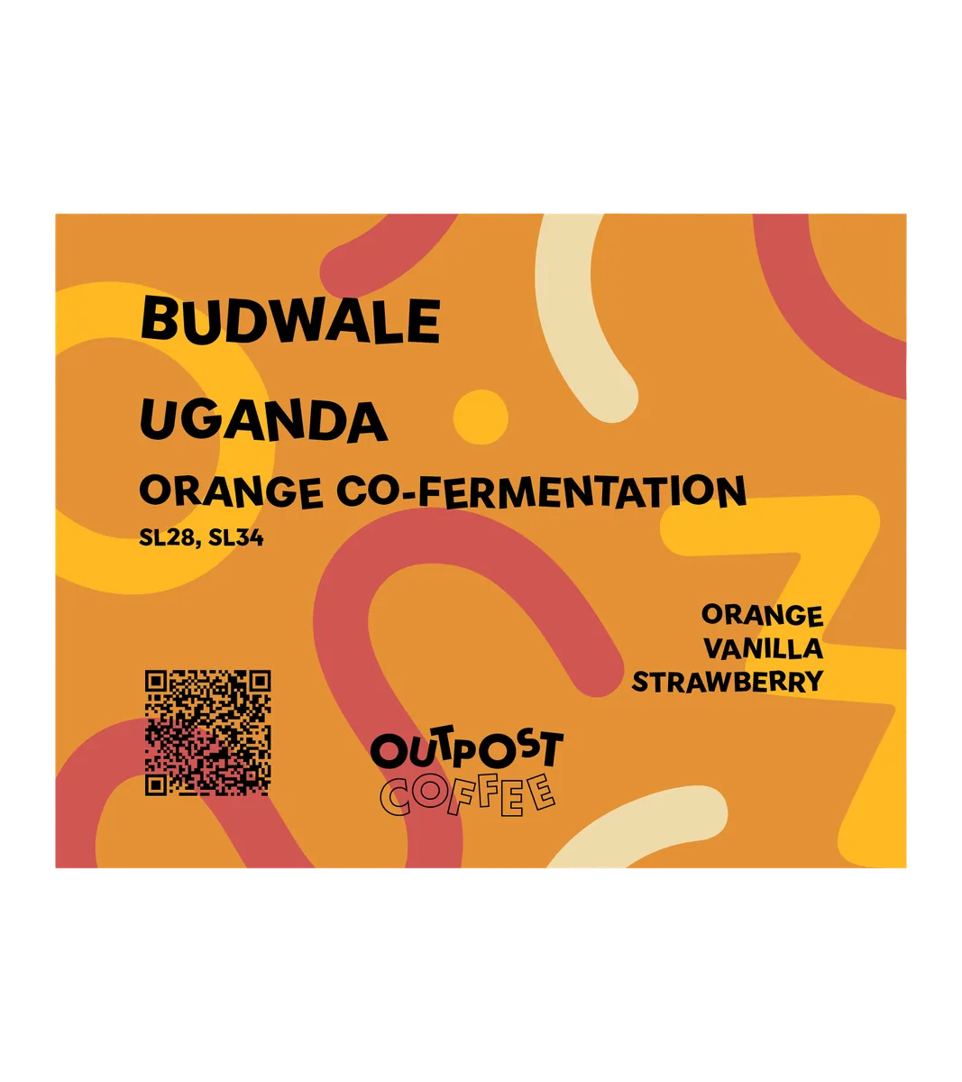 budwale, orange co-fermentation, uganda coffee by outpost coffee roasters