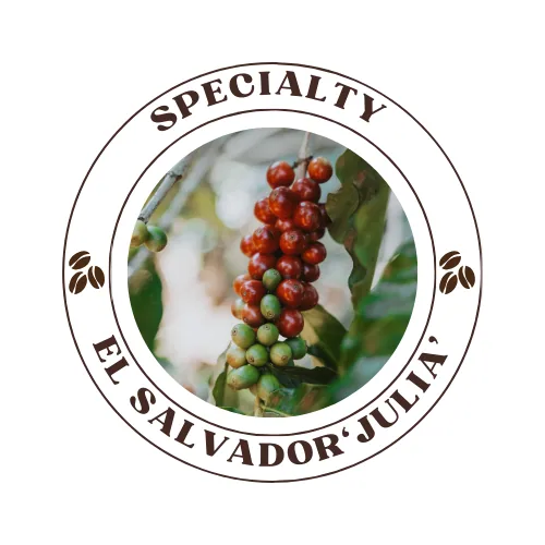 el salvador shg ‘julia’ – 250g coffee by quists coffee