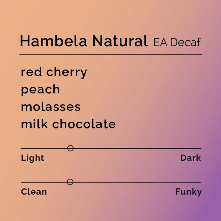 hambela natural - ea decaf - ethiopia coffee by black & white coffee roasters