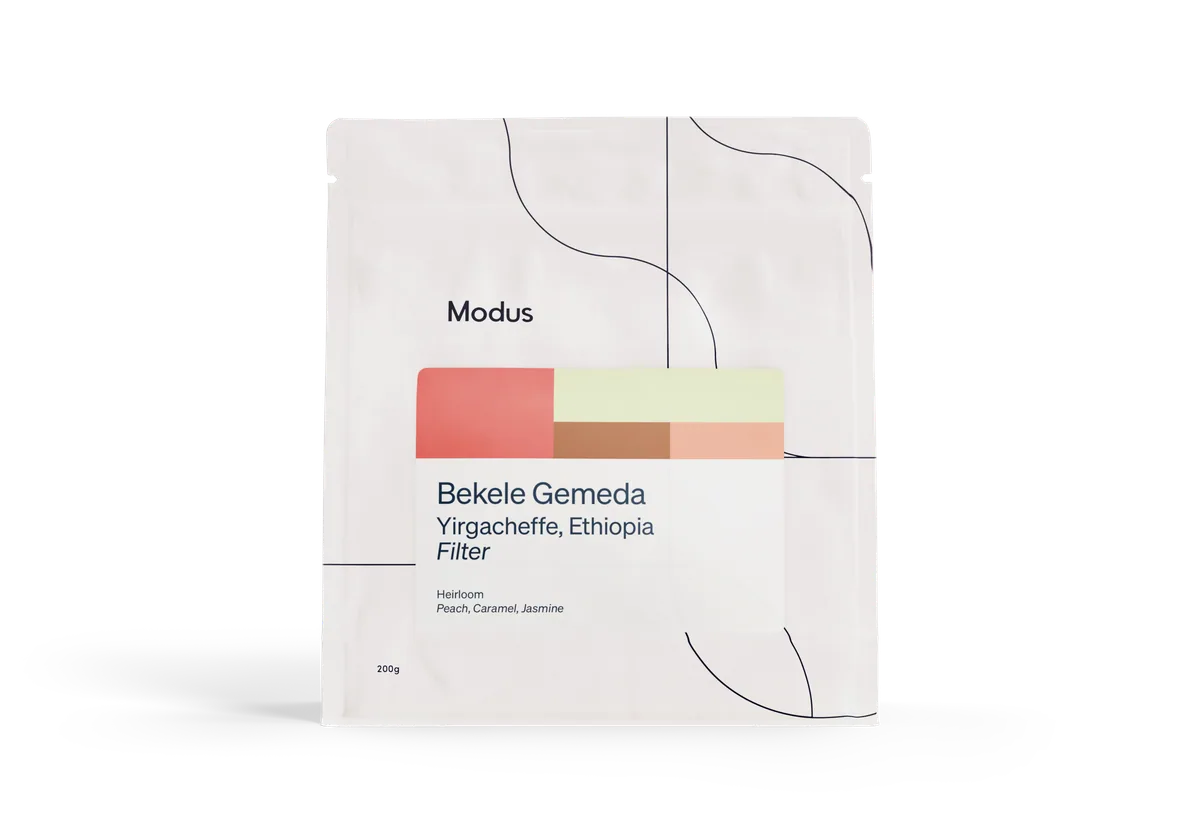 bekele gemeda | wholesale coffee by modus coffee
