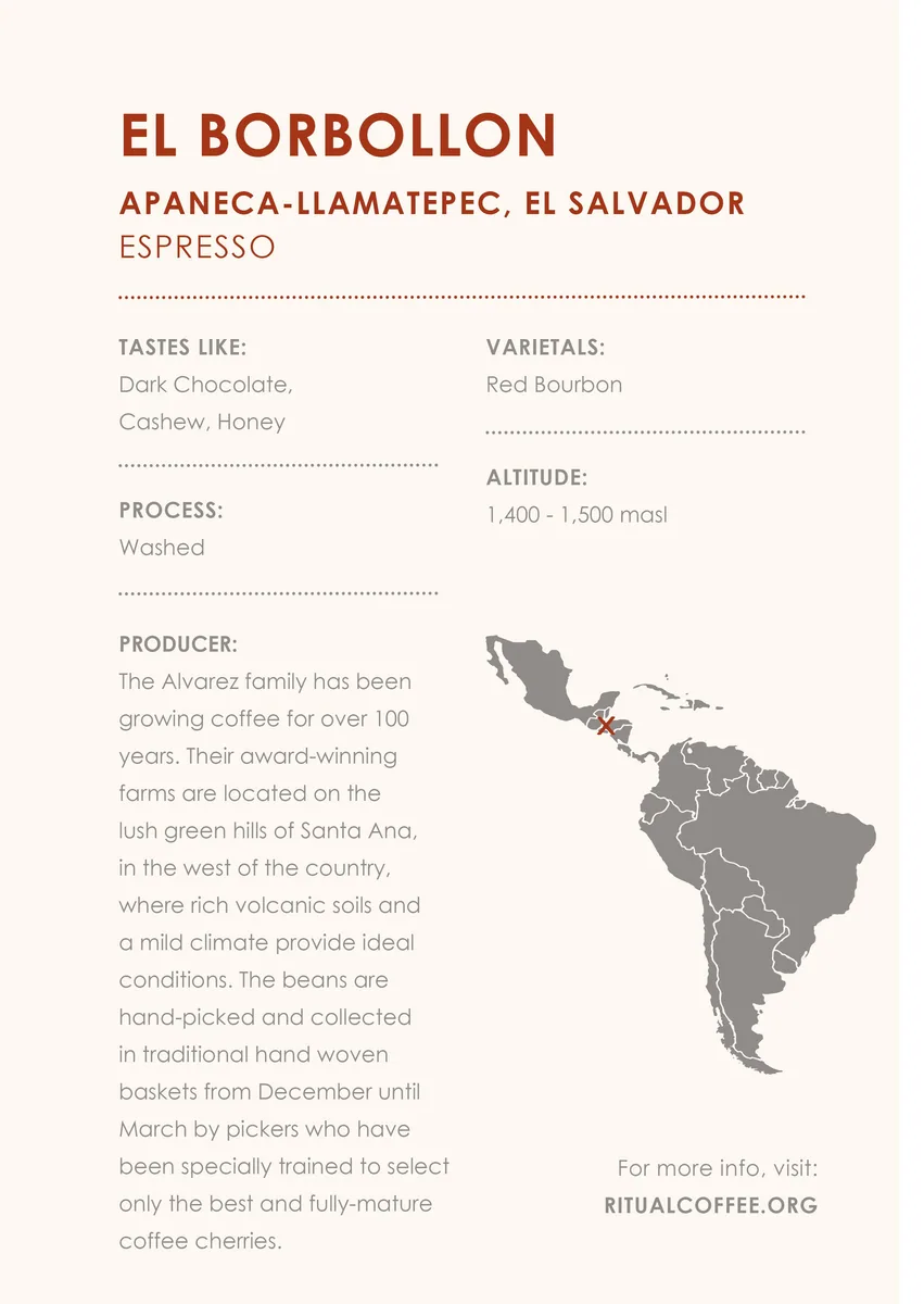 el borbollon (washed) - el salvador coffee by ritual coffee roasters