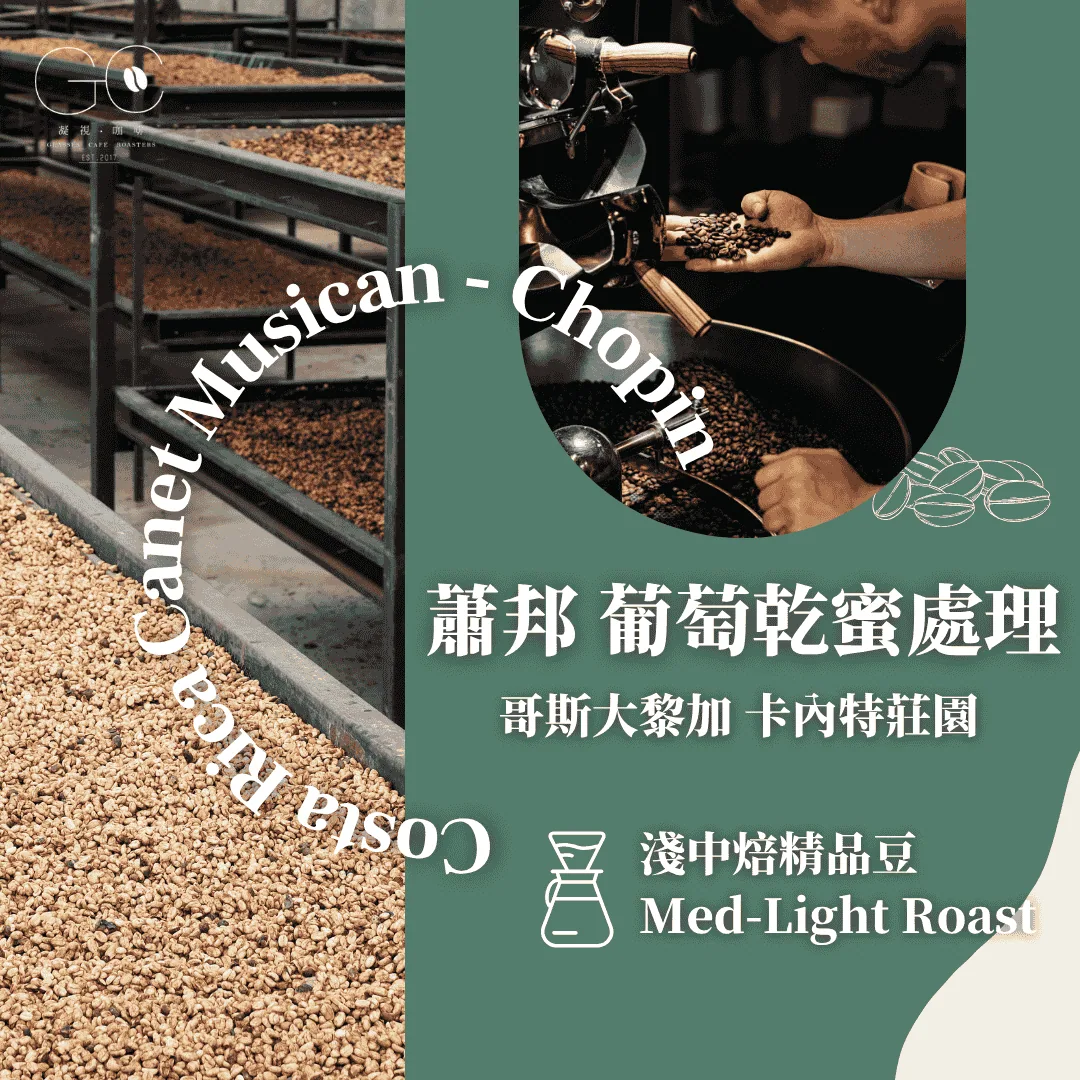淺中焙|哥斯大黎加 音樂家系列 蕭邦 葡萄乾蜜處理 costa rica canet musician – chopin - costa rica coffee by gazecafe
