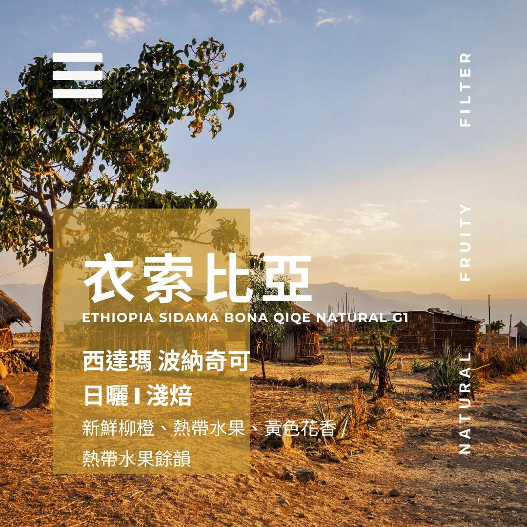 衣索比亞 ▸ 西達瑪 波納奇可 coffee by 燃木咖啡研究所_咖啡豆販售專門