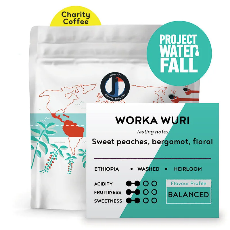 project waterfall - ethiopia coffee by jericho coffee traders roastery