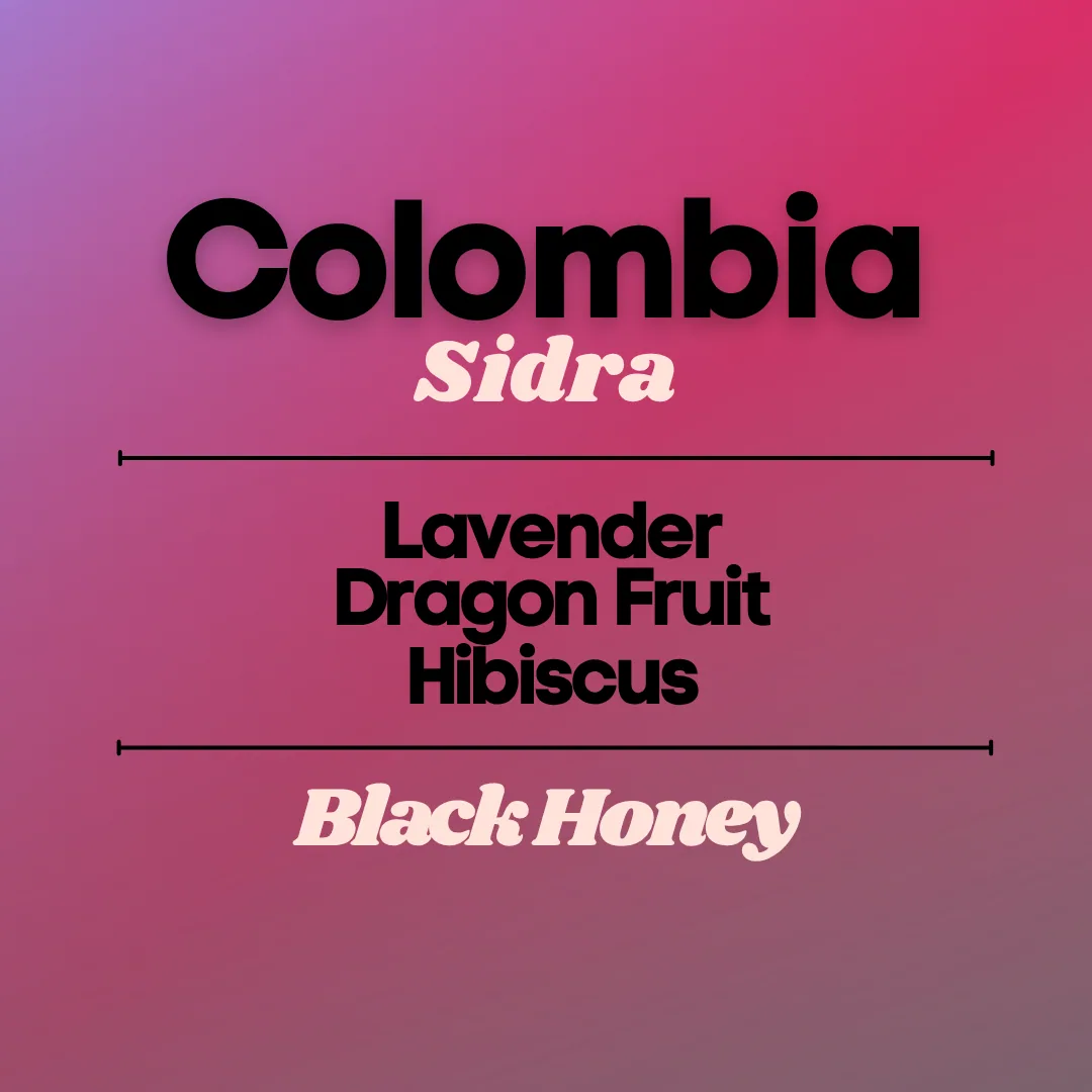 colombia sidra - black honey (wholesale) coffee by flux coffee