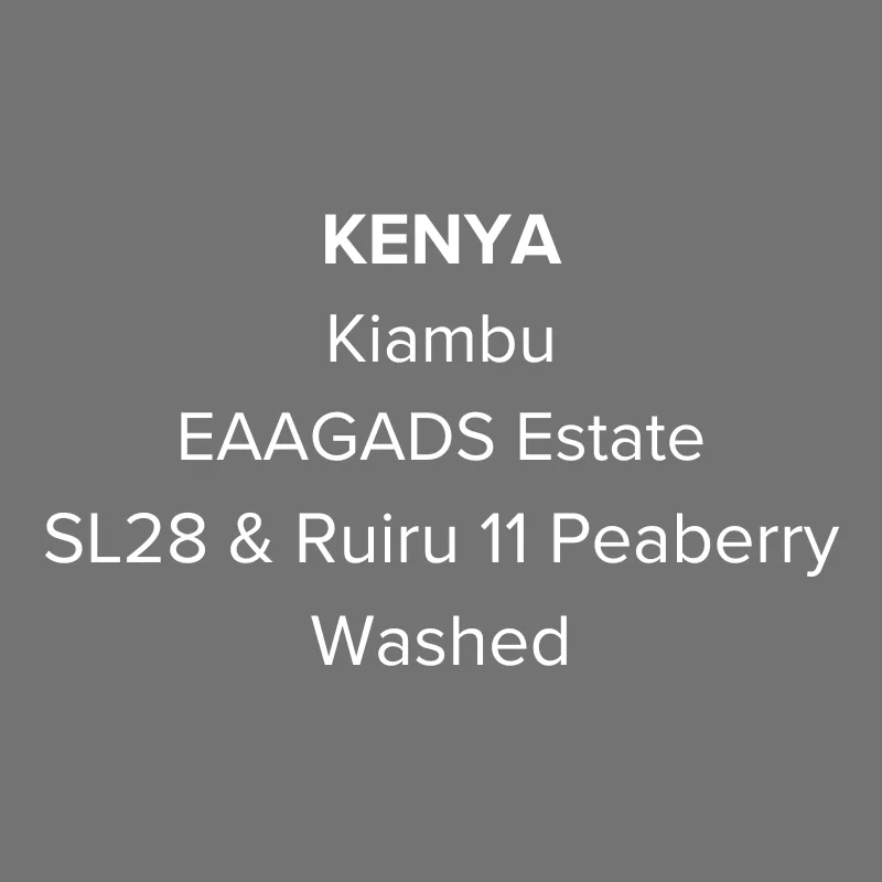 kenya kiambu eaagads estate sl28 & ruiru 11 peaberry washed pb top coffee by oma coffee roaster