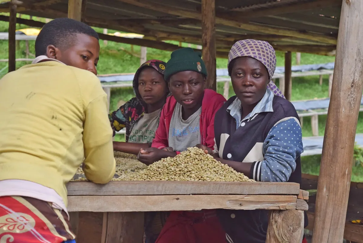 donation - donate a goat, rugori women's crown program coffee by big dog coffee roasters