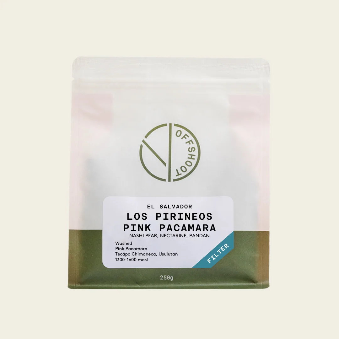 los pirineos - pink pacamara coffee by offshoot coffee
