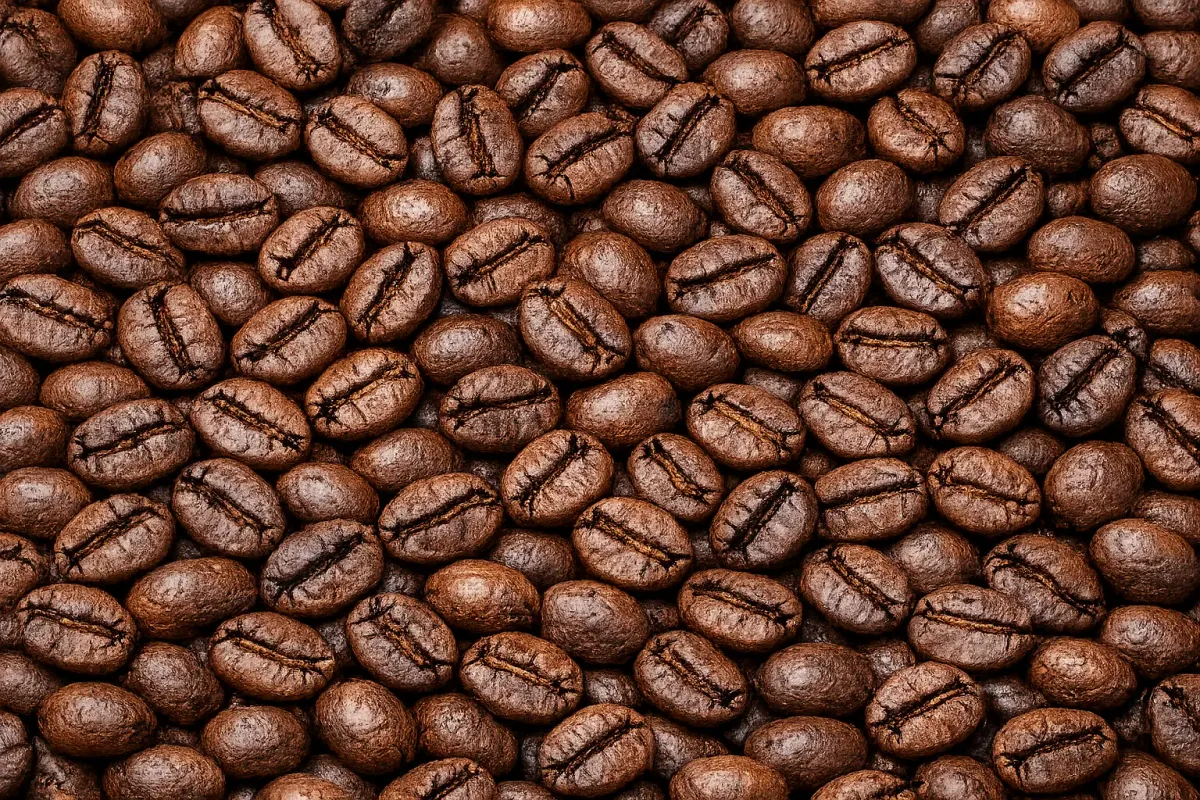 lasuna roasted coffee beans - indonesia + sumatra coffee by pt. indonesia specialty coffee