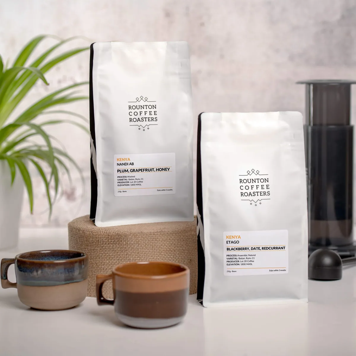 kenyan coffee duo coffee by rounton coffee