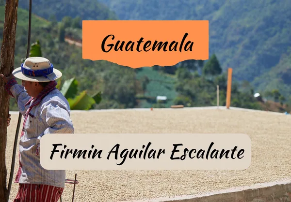 guatemala | firmin aguilar escalante coffee by draft coffee roasters