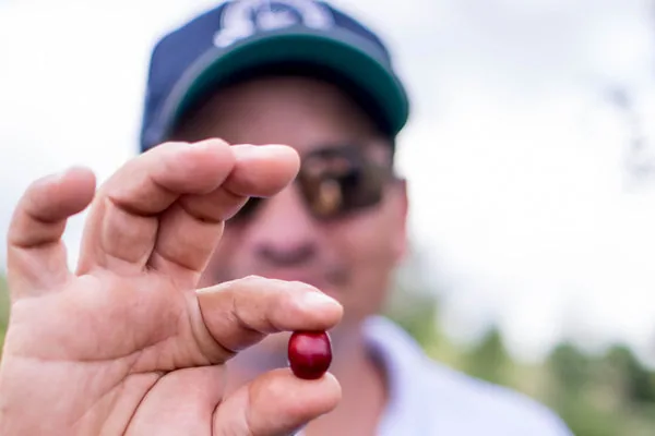 wilton benitez anaerobic natural tabi coffee by crankhouse coffee