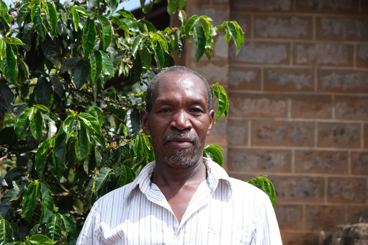 aa thiririka - kenya - kenya coffee by the fix coffee roasters