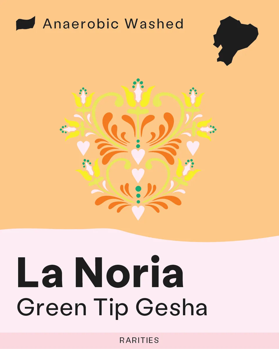 rarities: la noria - green tip gesha coffee by sk coffee: coffee bar & roastery