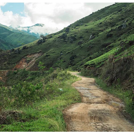 peru richard cotrina – finca el eucalipto bourbon washed coffee by bellas coffee lab roastery