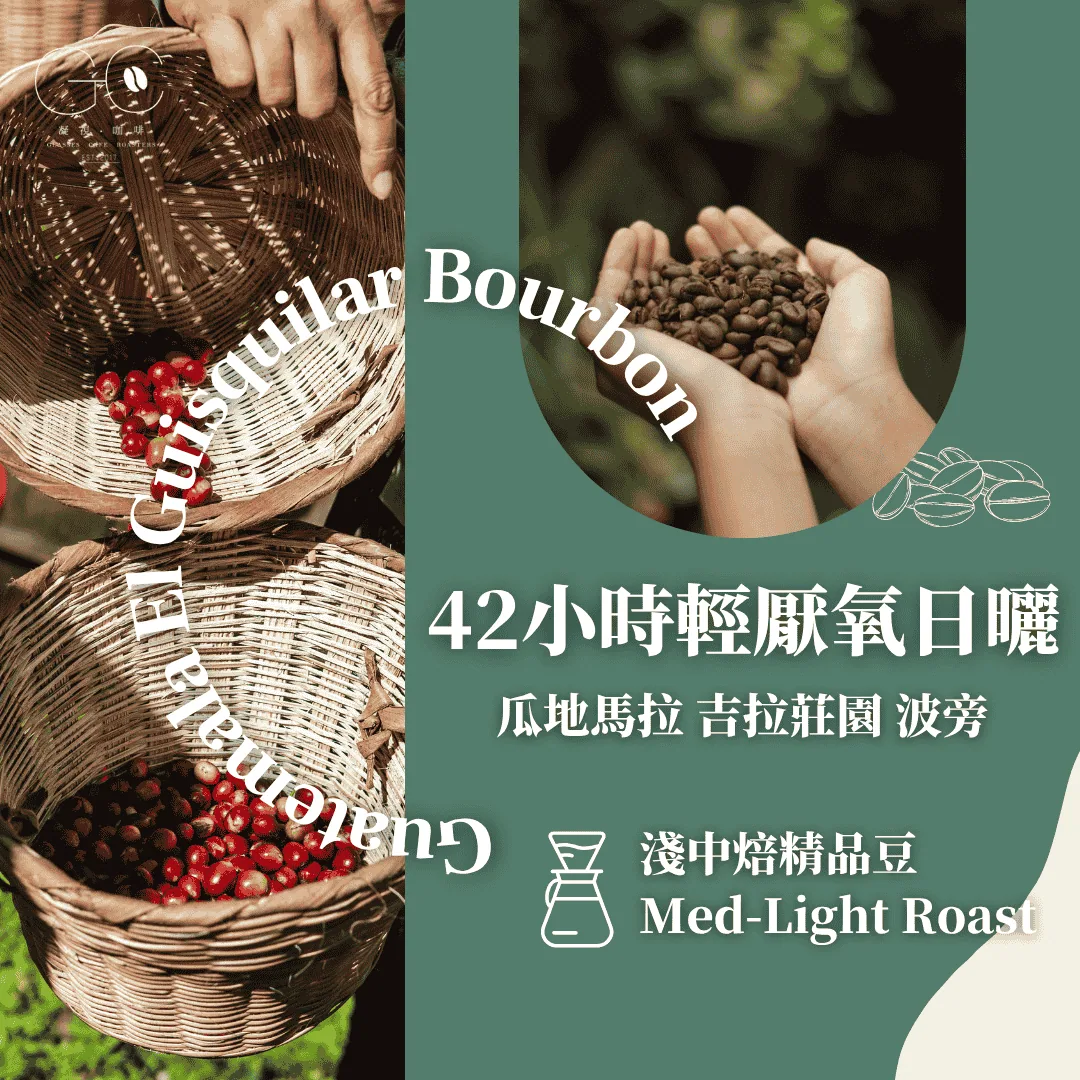 淺中焙|瓜地馬拉 吉拉莊園 波旁 42小時輕厭氧日曬 guatemala el guisquilar bourbon coffee by gazecafe