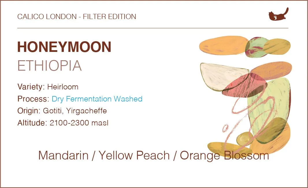 ethiopia gotiti honey moon - dry fermentation washed coffee by calico coffee