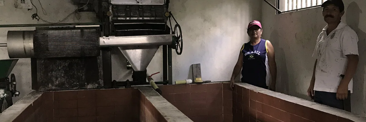 #67 colombia, santa elena #1 by maria damaris medina coffee by stillers coffee