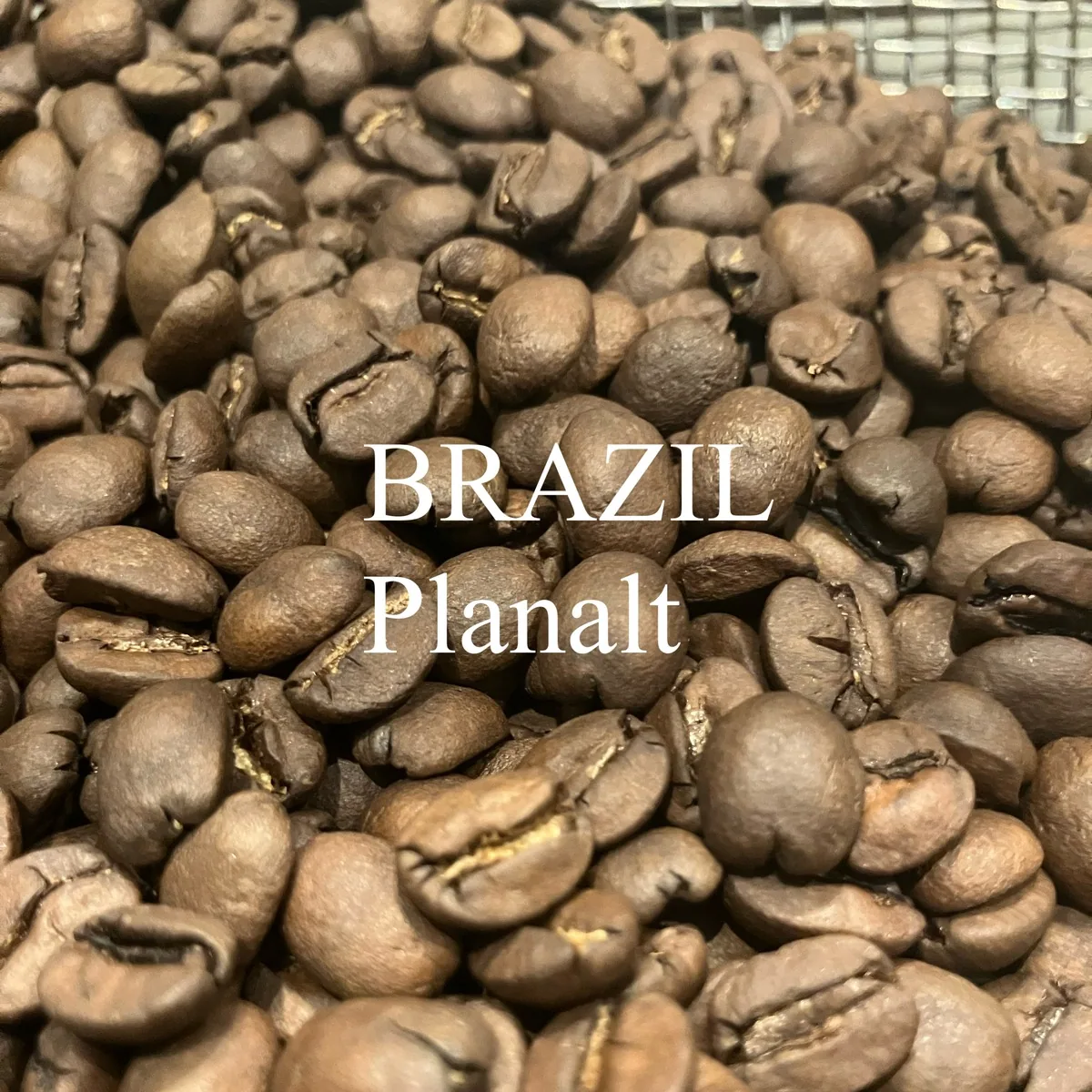 ブラジル・プラナウト 200g/brazil・planalt coffee by jupiters coffee roasters
