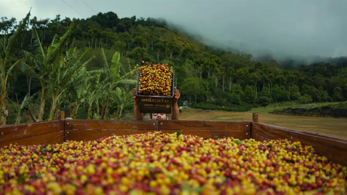 costa rica santa maria de dota coffee by the kaffeeklatsch