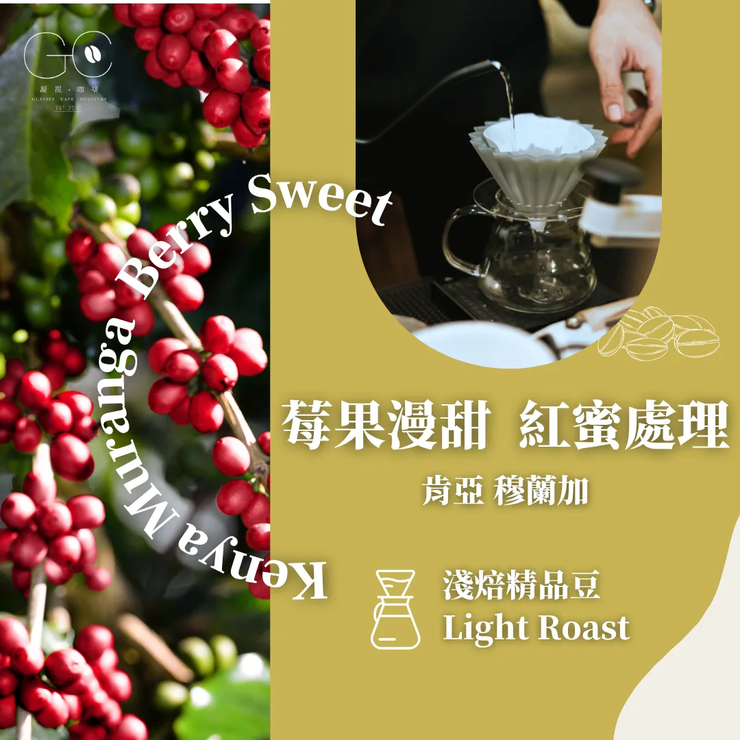 淺焙|肯亞 穆蘭加 莓果漫甜 紅蜜 kenya muranga smooth berry sweet - kenya coffee by gazecafe