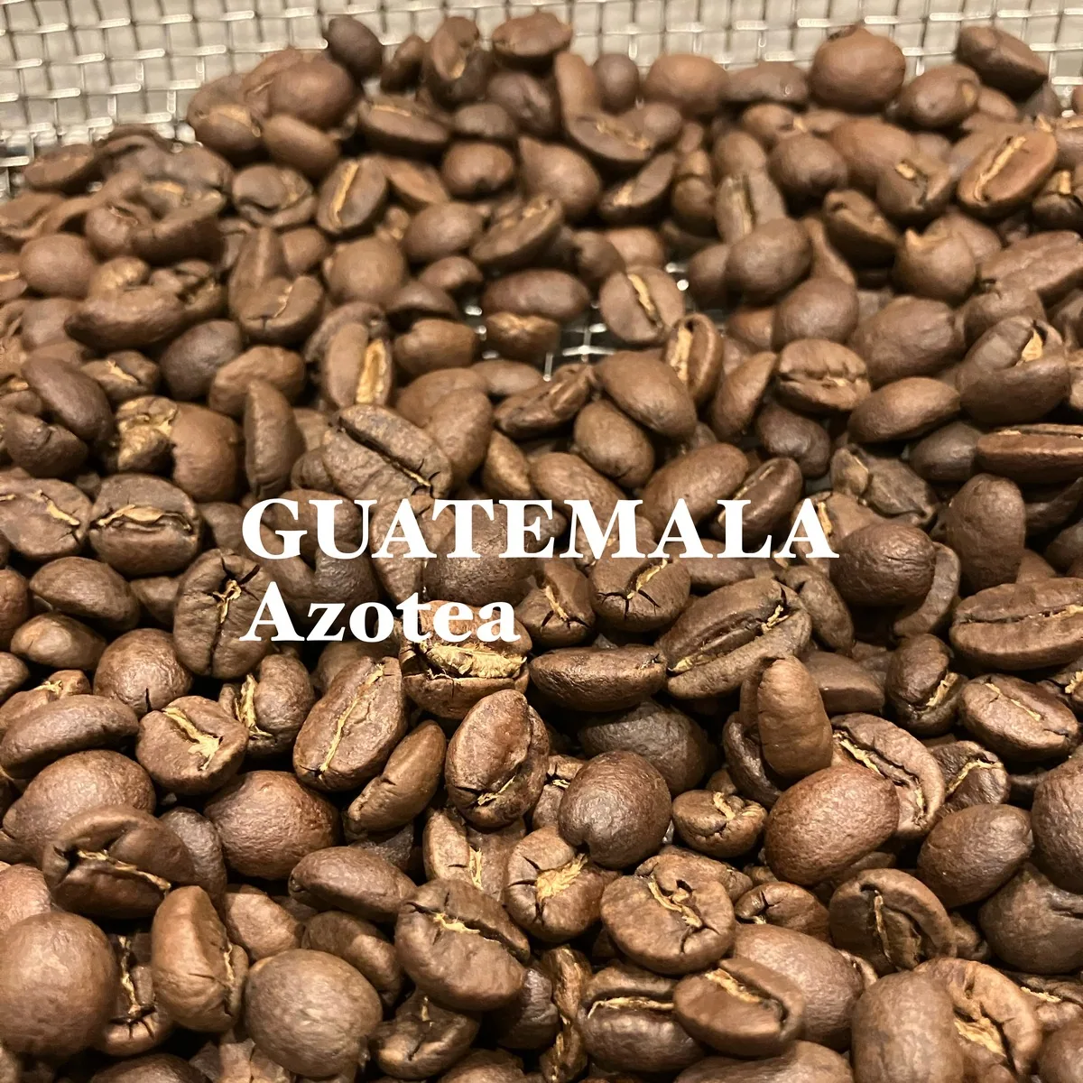 グアテマラ・アゾテアエステート 200g/guatemala・azotea coffee by jupiters coffee roasters