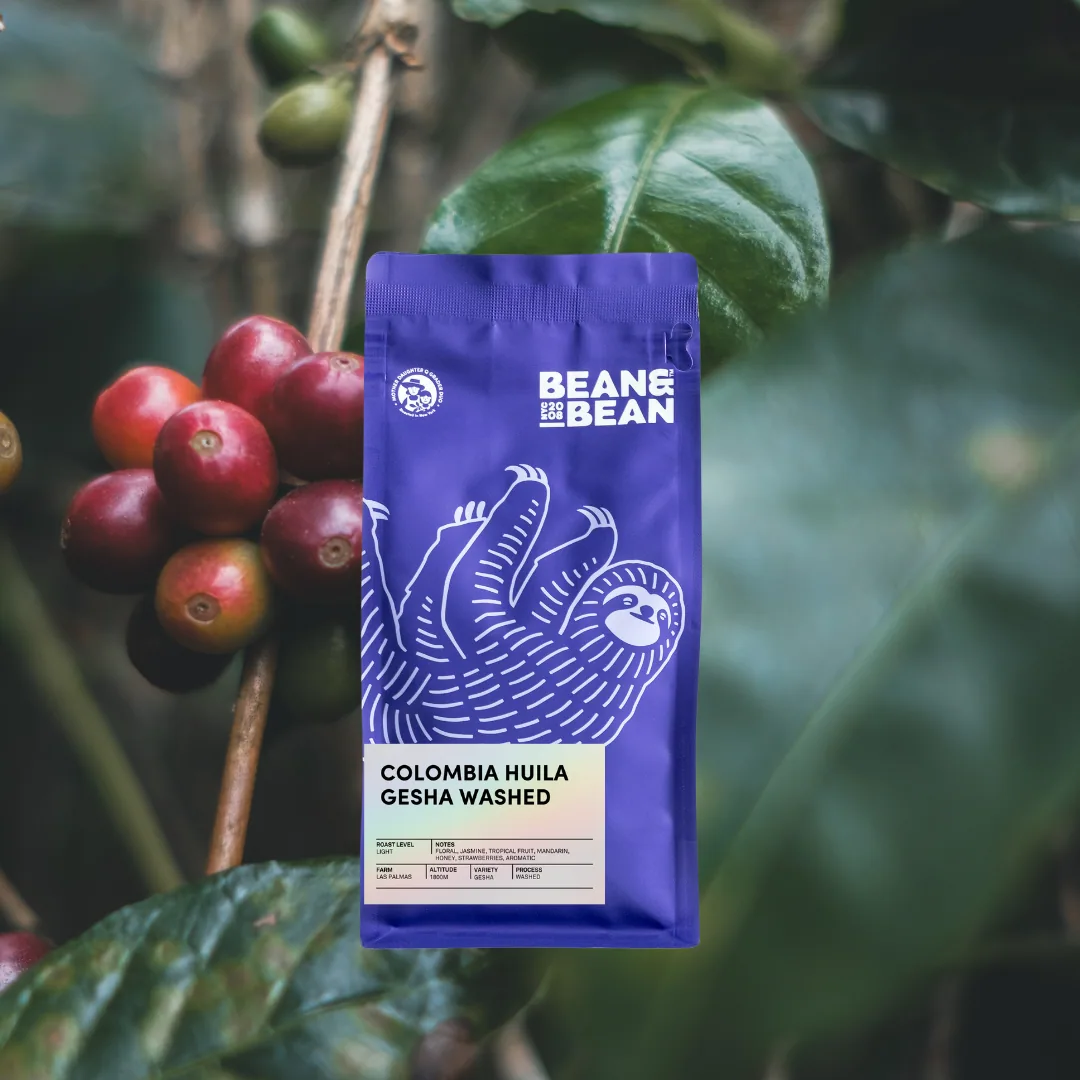 colombia huila gesha washed coffee by bean & bean queens — roastery & cafe