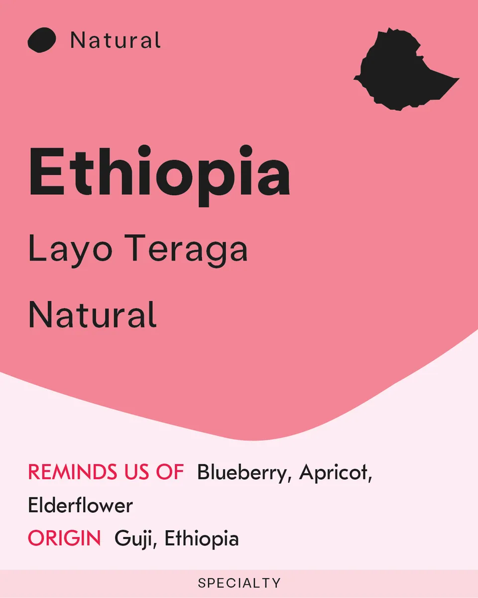 ethiopia, layo teraga coffee by sk coffee: whittier