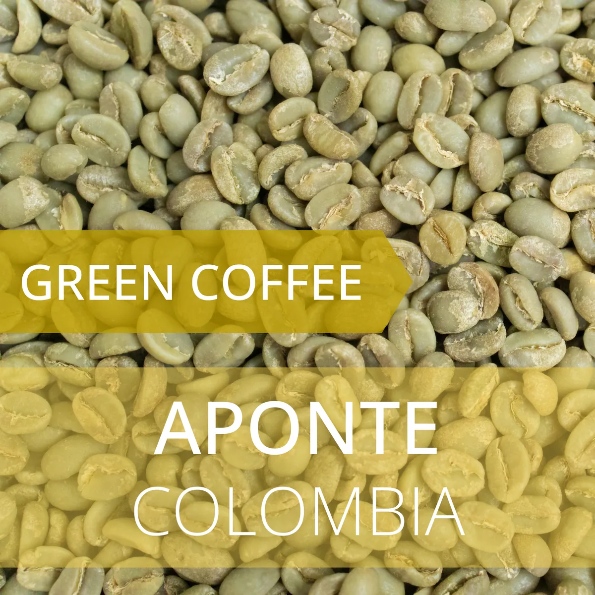 aponte - colombia coffee by foundry coffee roasters