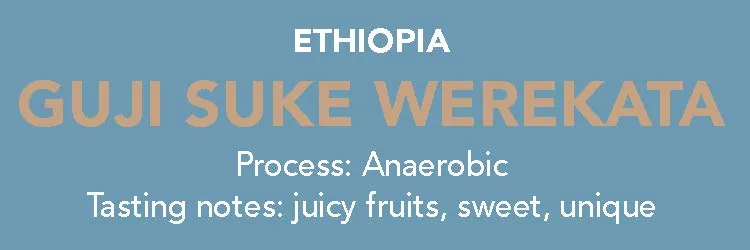 dose - ethiopia, guji suke werekata coffee by methodical coffee