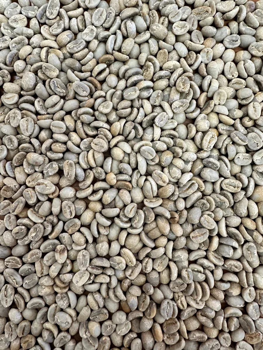 ollancay - peru coffee by prodigal