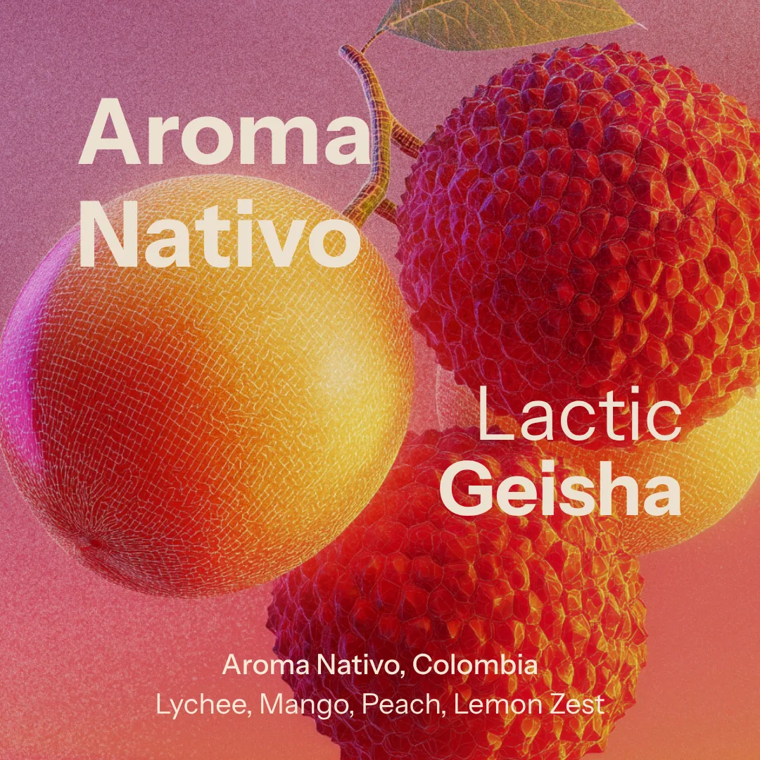 lactic geisha (colombia) coffee by nostos coffee