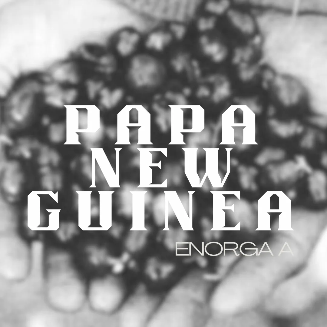 papua new guinea kongo coffee by deluxe coffeeworks 219
