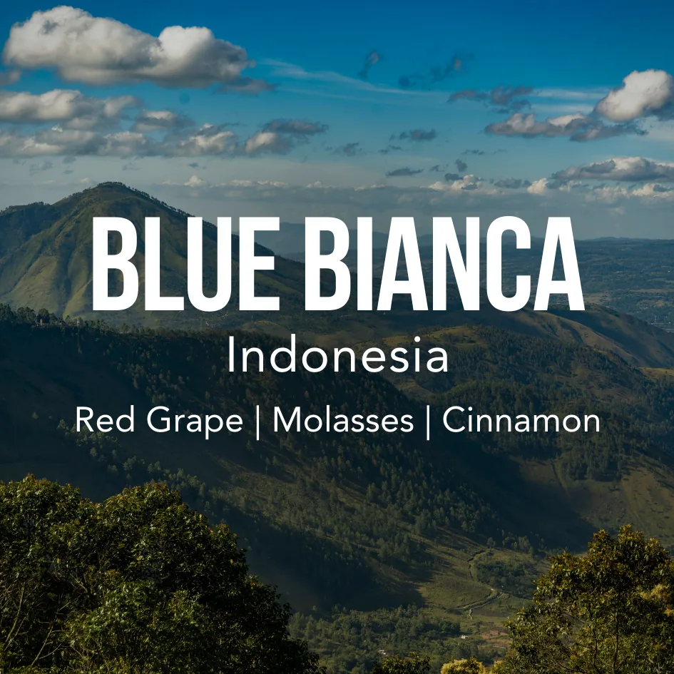 indonesia blue bianca coffee by excelso coffee