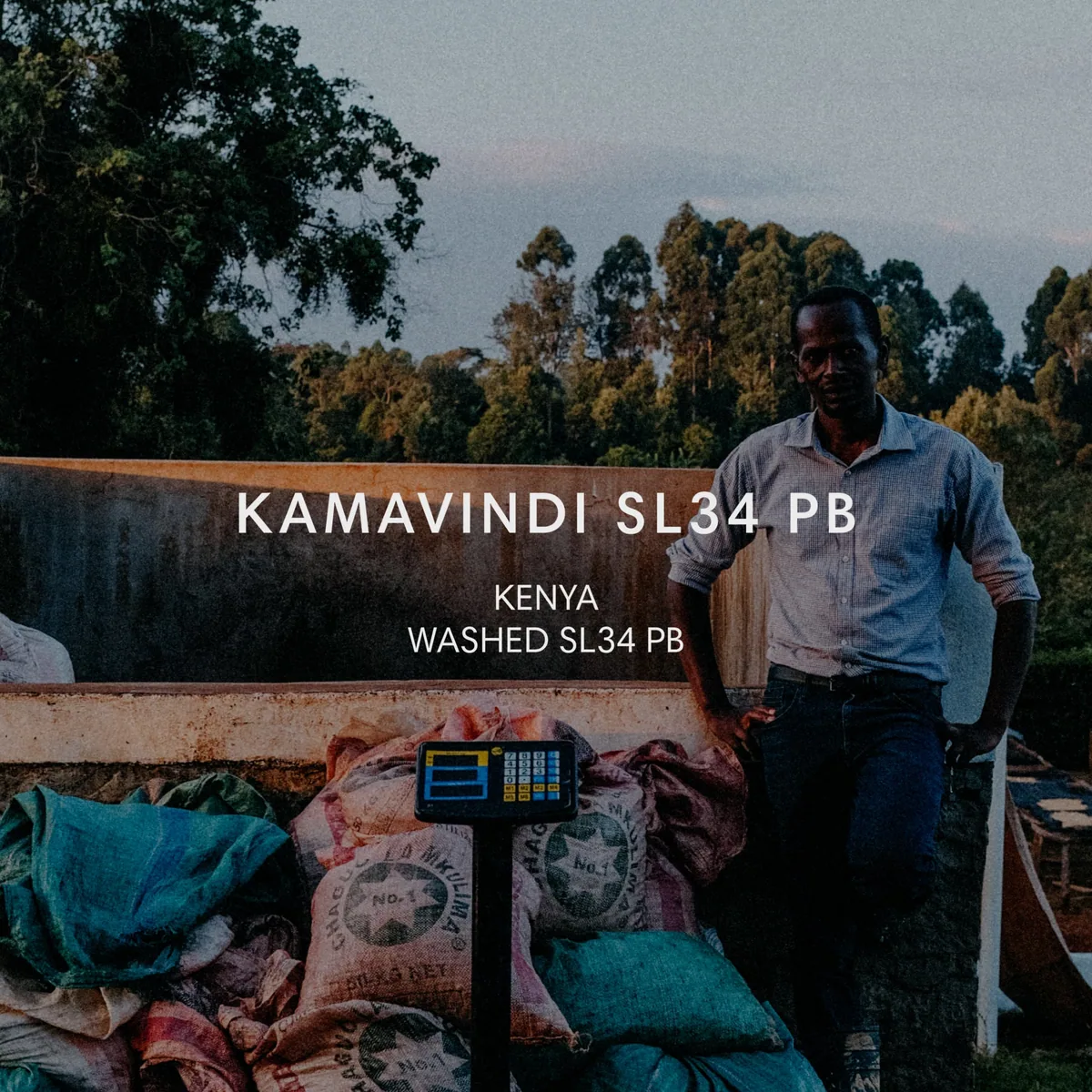 kamavindi sl34 pb coffee by mazelab