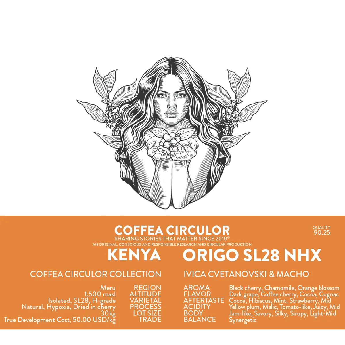 kenya coffea circulor origo isolated sl28 natural hypoxia nhx - kenya coffee by coffea circulor