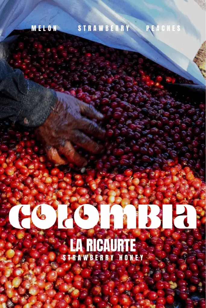 colombia – finca la ricaurte coffee by marshall street coffee