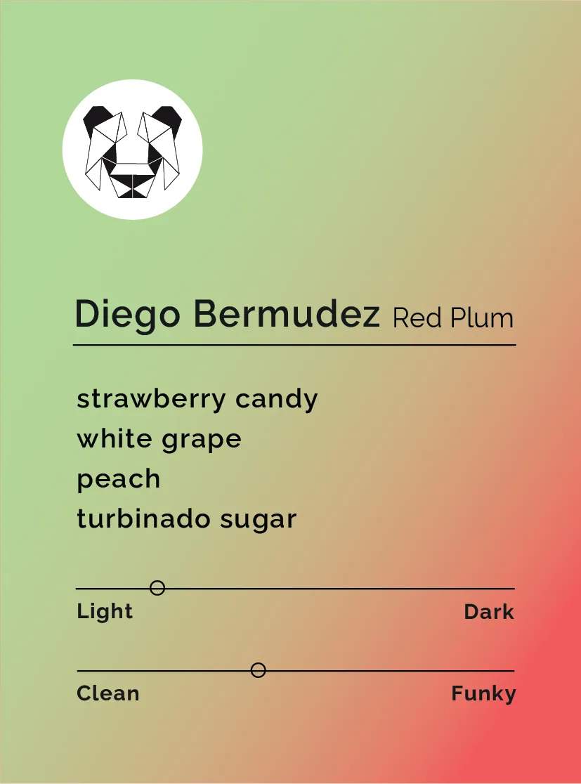diego bermudez - red plum coffee by black & white coffee roasters