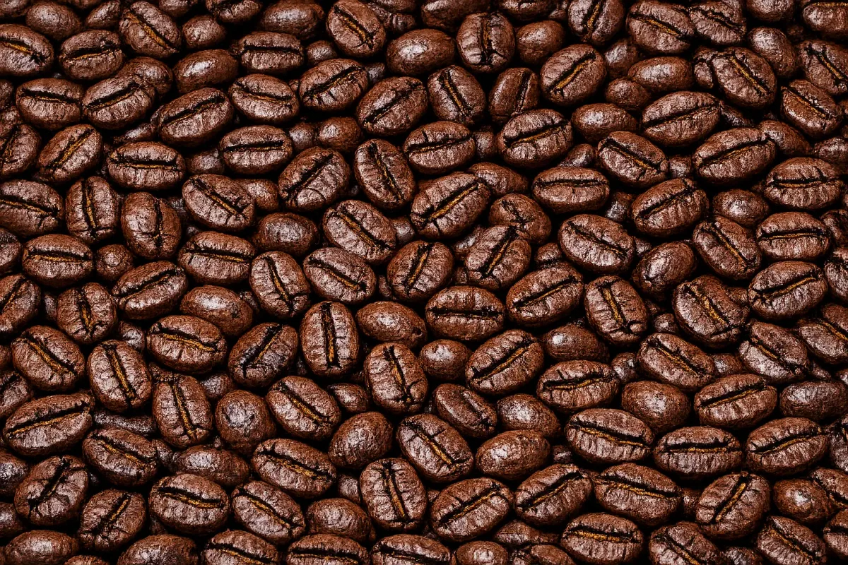 abyssinia roasted coffee beans - indonesia + sumatra coffee by pt. indonesia specialty coffee