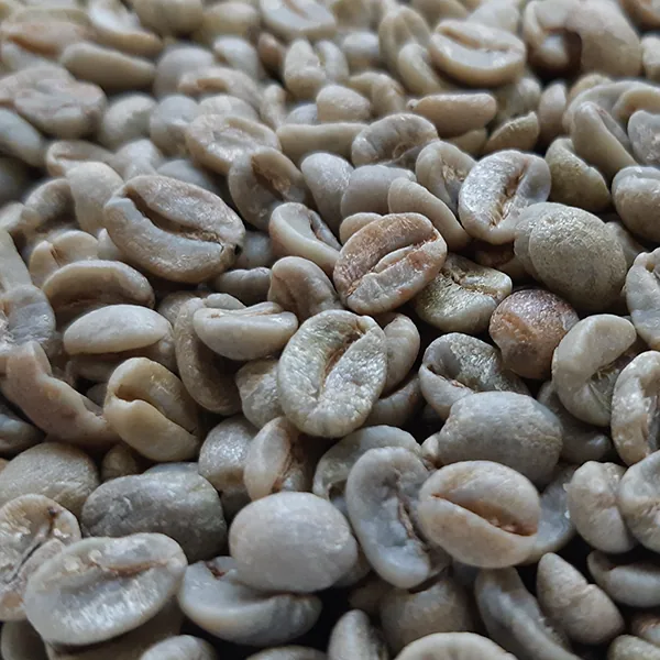 brazil samba reserve unroasted green coffee beans 1kg coffee by chiasso coffee roasters