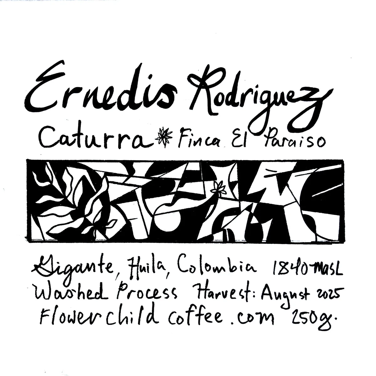 el paraiso caturra - colombia coffee by flower child
