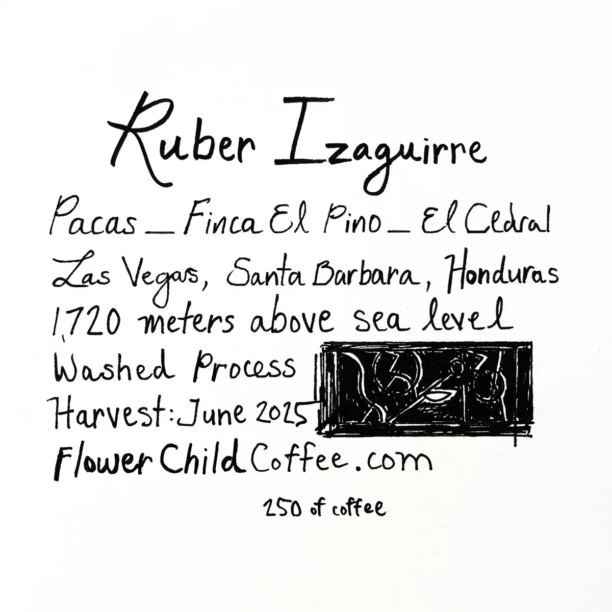 ruber izaguirre - honduras + el salvador coffee by flower child