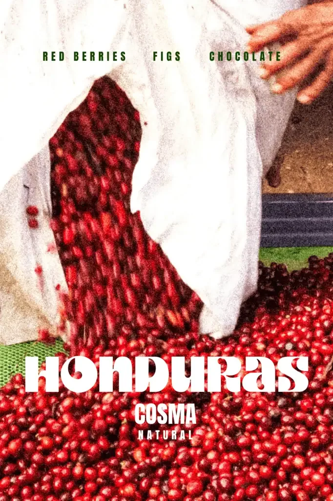 honduras – cosma coffee by marshall street coffee