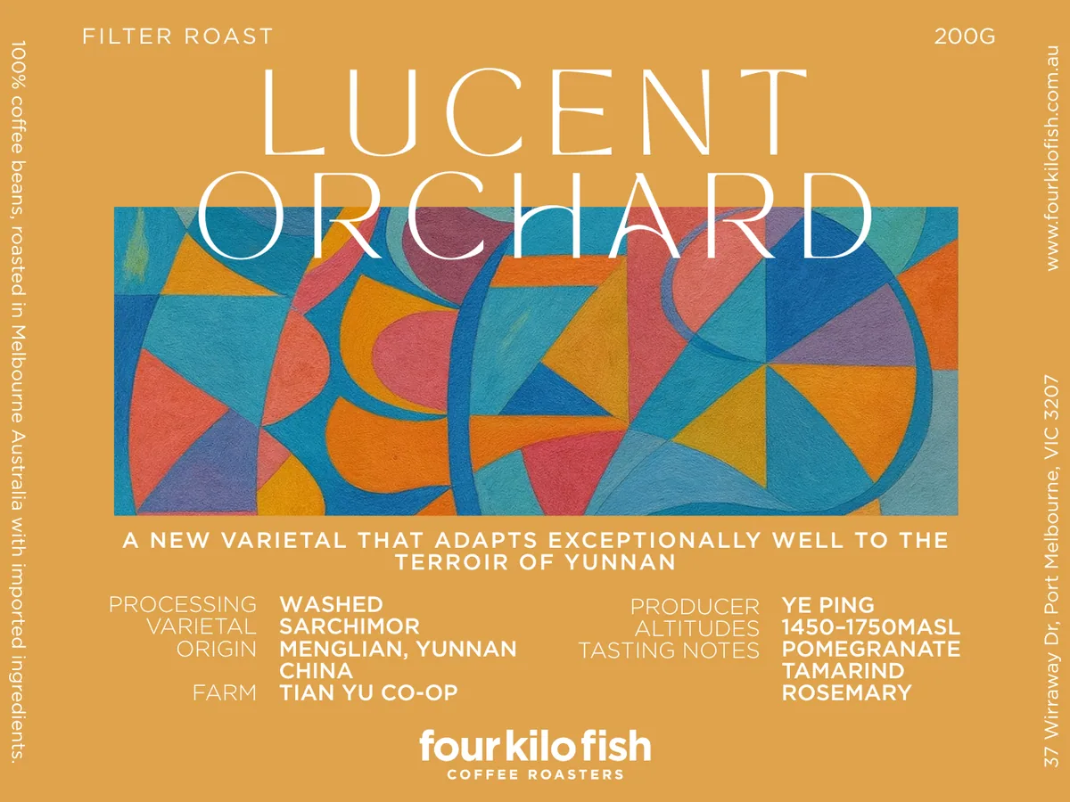 lucent orchard | washed sarchimor | yunnan, china | filter roast 200g - yunnan coffee by four kilo fish coffee & tea