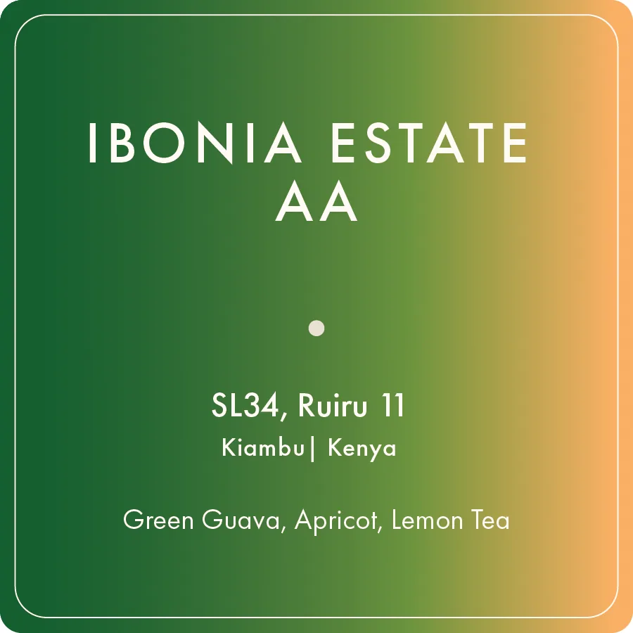 ibonia estate coffee by regalia
