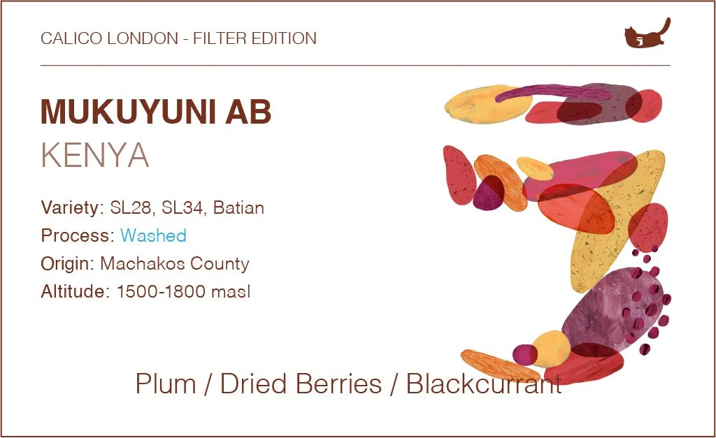 kenya ab mukuyuni - traditional 72 hours washed coffee by calico coffee