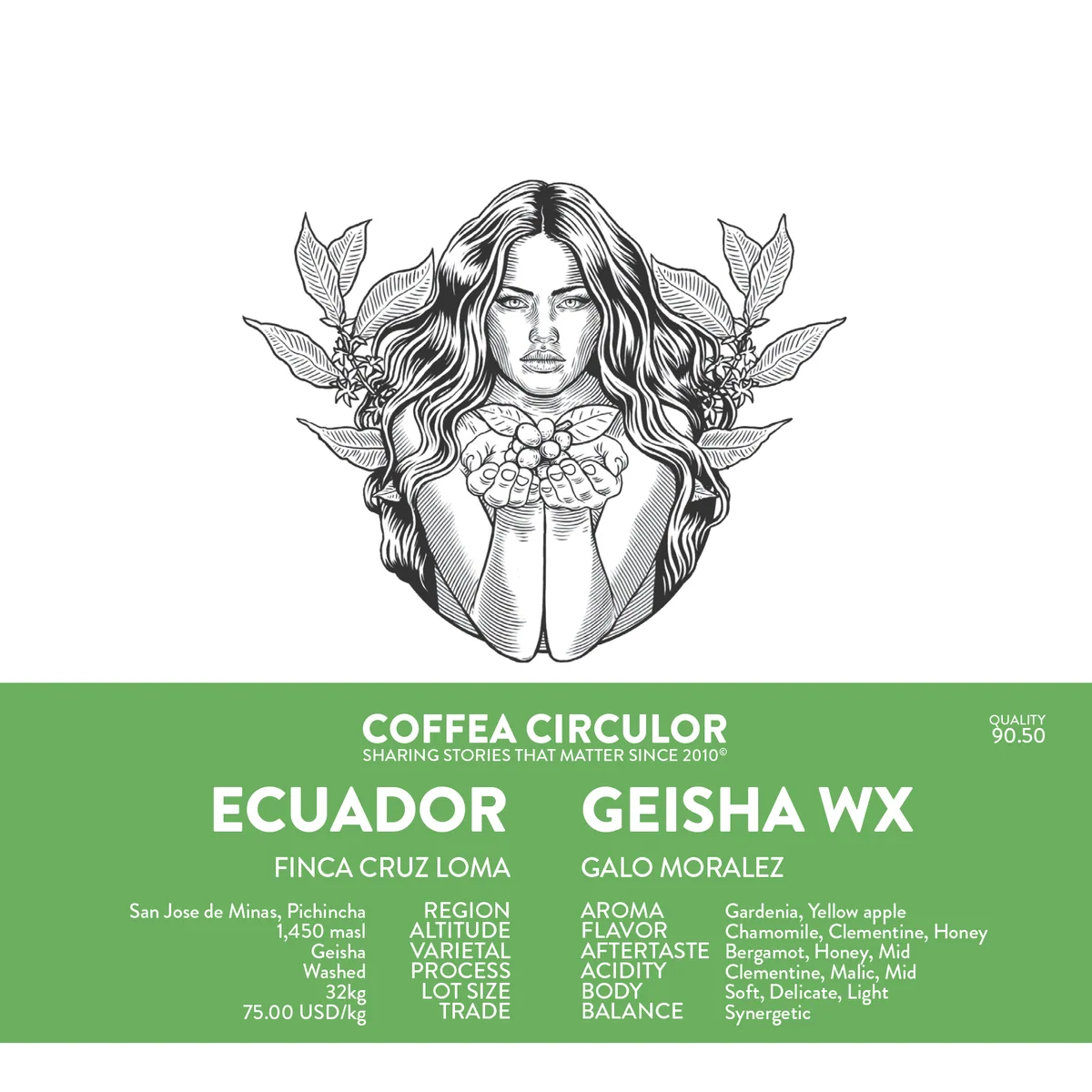 ecuador galo geisha washed wx - ecuador coffee by coffea circulor